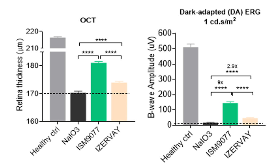 Dry AMD model chart: OCT retinal thickness and dark-adapted ERG B-wave amplitude comparing healthy control, disease model, ISM9077, and a comparator therapy