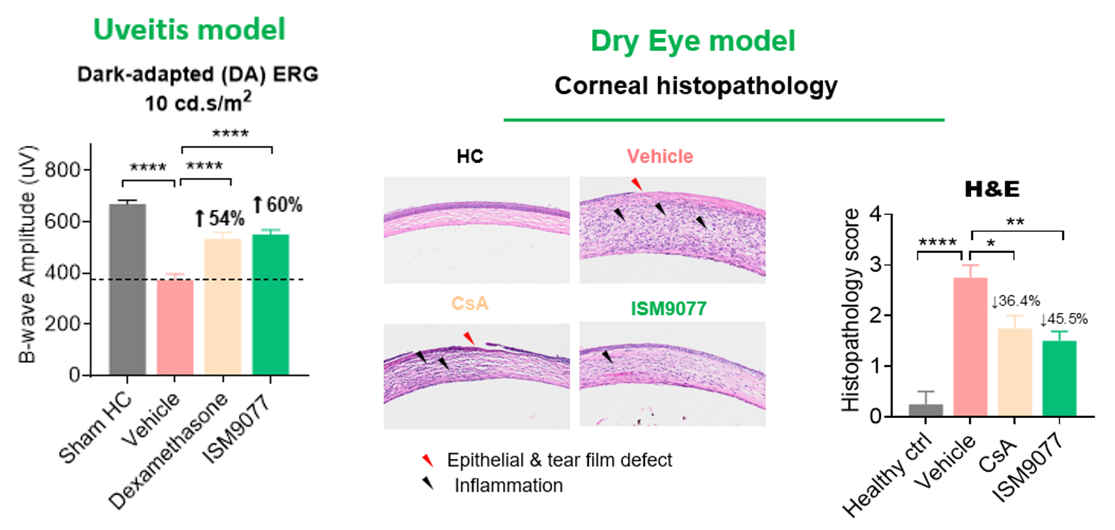 Uveitis model ERG B-wave amplitude and dry eye model corneal histopathology chart comparing vehicle, standard of care, and ISM9077